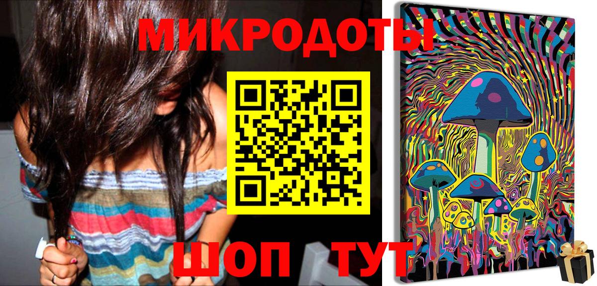 Псилоцибиновые грибы Cubensis Муравленко